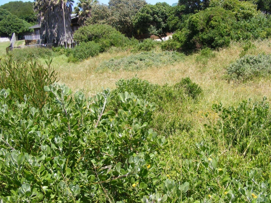 0 Bedroom Property for Sale in Paradise Beach Eastern Cape